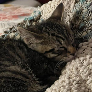 Meet your Posher, Odessa